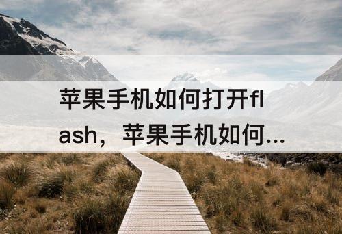 苹果手机如何打开flash，苹果手机如何打开flash网页