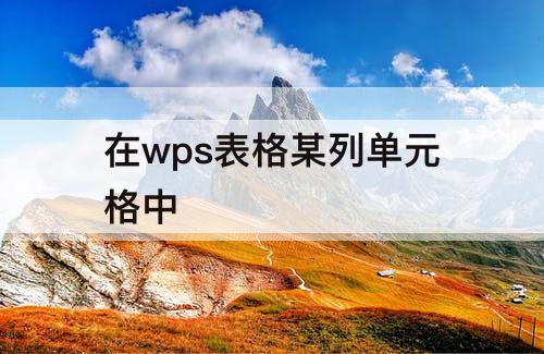 在wps表格某列单元格中