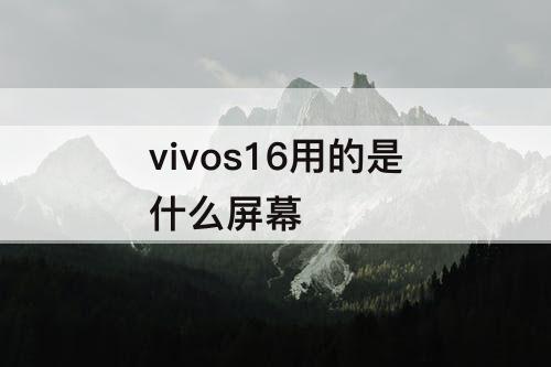 vivos16用的是什么屏幕