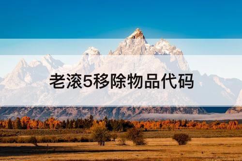 老滚5移除物品代码