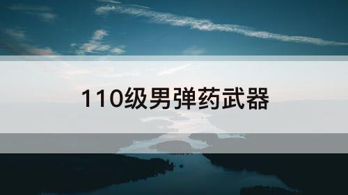 110级男弹药武器