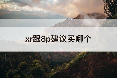 xr跟8p建议买哪个
