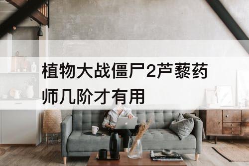 植物大战僵尸2芦藜药师几阶才有用