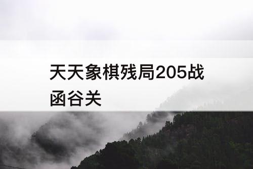 天天象棋残局205战函谷关