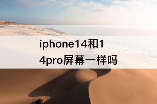 iphone14和14pro屏幕一样吗