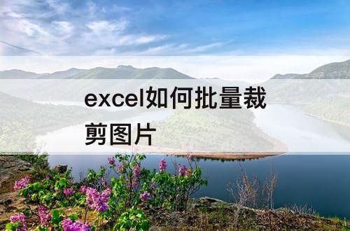 excel如何批量裁剪图片
