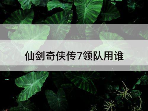 仙剑奇侠传7领队用谁