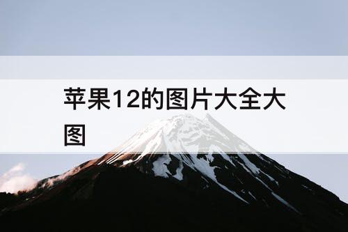 苹果12的图片大全大图