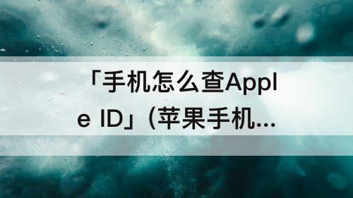 「手机怎么查Apple ID」(苹果手机怎么查apple id)