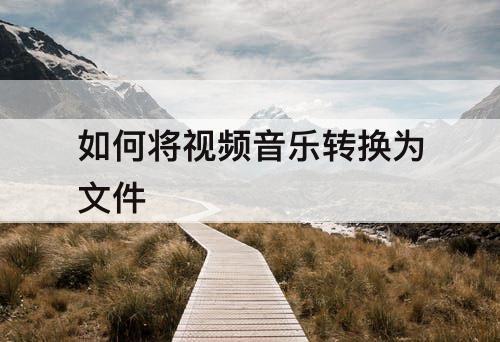如何将视频音乐转换为文件
