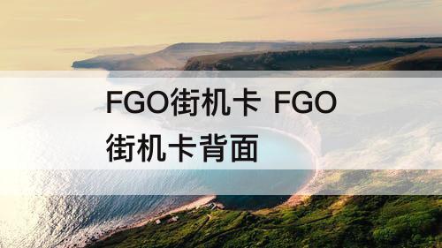 FGO街机卡 FGO街机卡背面