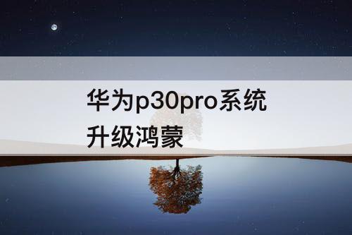 华为p30pro系统升级鸿蒙