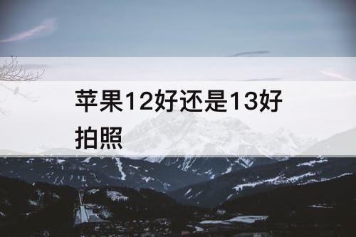 苹果12好还是13好拍照