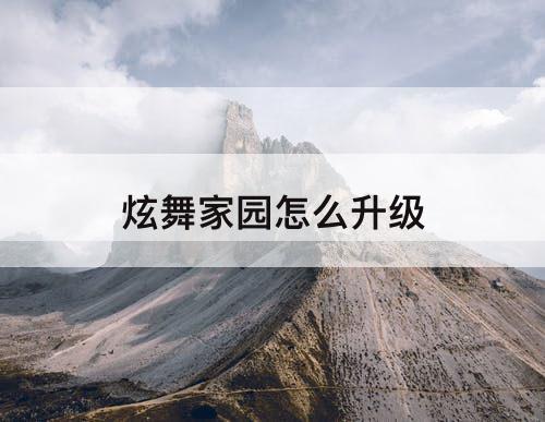 炫舞家园怎么升级