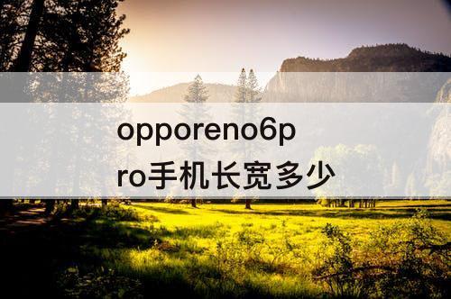 opporeno6pro手机长宽多少