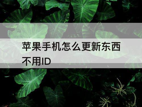 苹果手机怎么更新东西不用ID