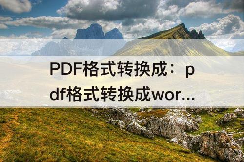 PDF格式转换成：pdf格式转换成word文档格式