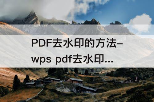 PDF去水印的方法-wps pdf去水印的方法