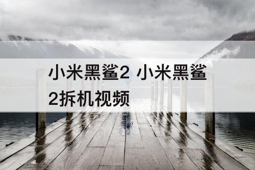 小米黑鲨2 小米黑鲨2拆机视频
