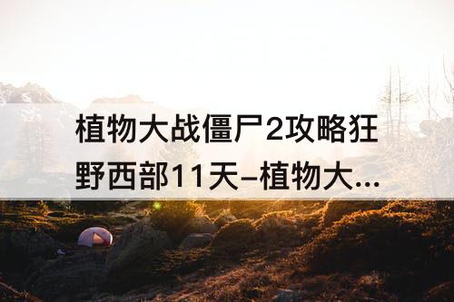 植物大战僵尸2攻略狂野西部11天-植物大战僵尸2攻略狂野西部11天困难