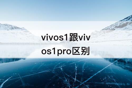 vivos1跟vivos1pro区别