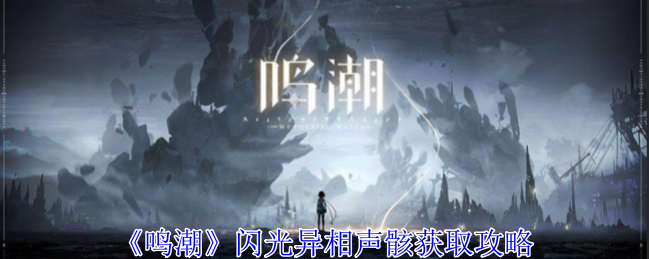 鸣潮：闪光异相声骸全解析
