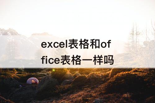 excel表格和office表格一样吗