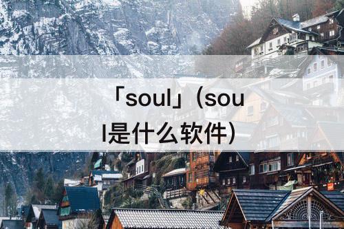 「soul」(soul是什么软件)