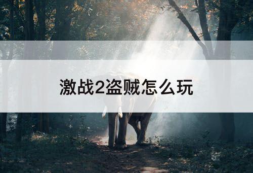 激战2盗贼怎么玩