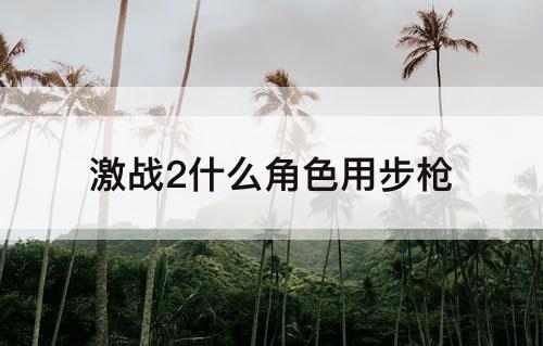 激战2什么角色用步枪