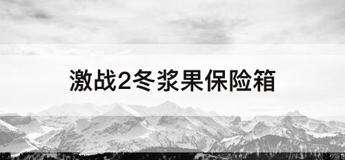 激战2冬浆果保险箱