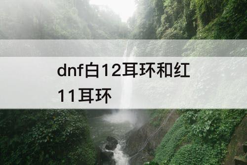 dnf白12耳环和红11耳环