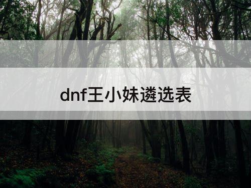 dnf王小妹遴选表
