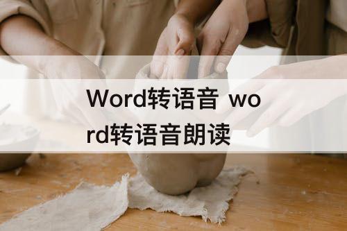 Word转语音 word转语音朗读
