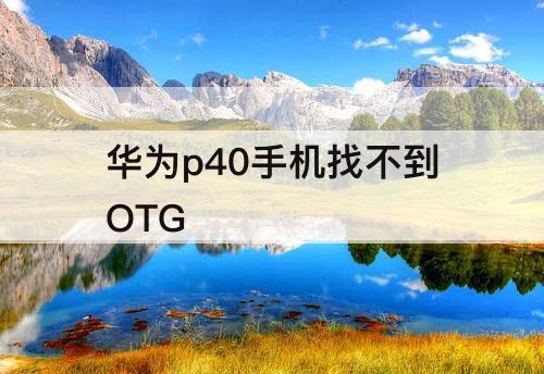 华为p40手机找不到OTG