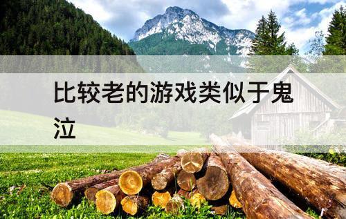比较老的游戏类似于鬼泣