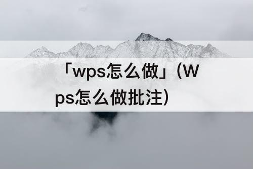 「wps怎么做」(Wps怎么做批注)