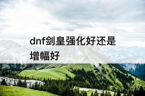 dnf剑皇强化好还是增幅好