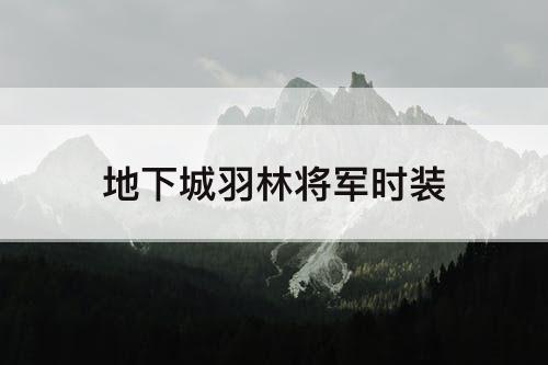 地下城羽林将军时装