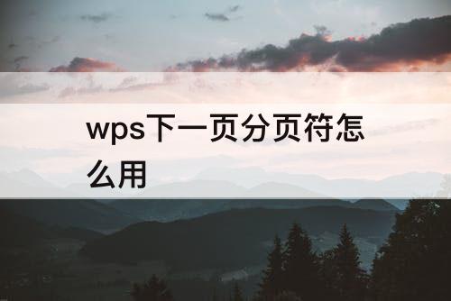 wps下一页分页符怎么用
