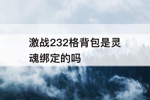 激战232格背包是灵魂绑定的吗