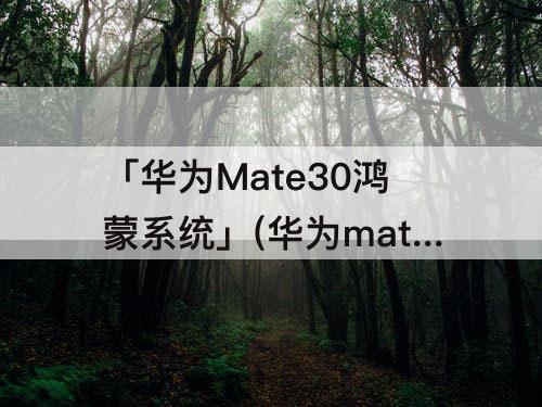「华为Mate30鸿蒙系统」(华为mate30鸿蒙系统怎么换回安卓系统)