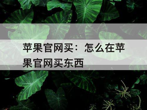 苹果官网买：怎么在苹果官网买东西