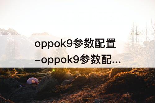 oppok9参数配置-oppok9参数配置详细参数