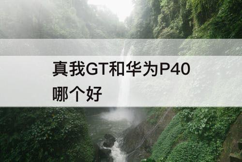 真我GT和华为P40哪个好