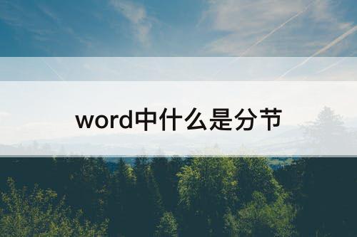 word中什么是分节