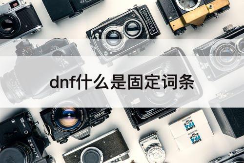 dnf什么是固定词条