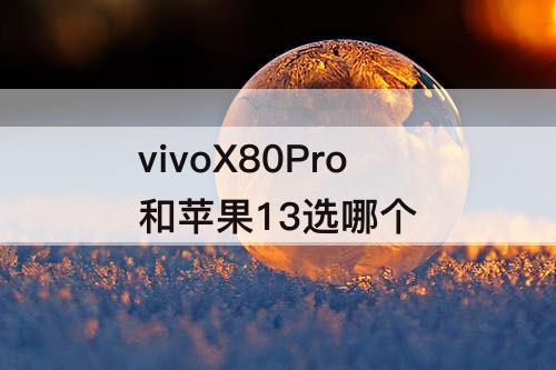 vivoX80Pro和苹果13选哪个
