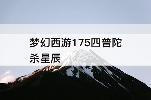 梦幻西游175四普陀杀星辰