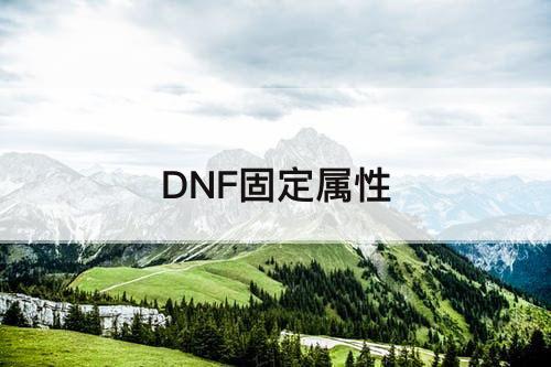 DNF固定属性